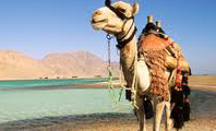 Egypt tour packages