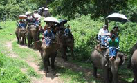 Natural Chiang Mai Tour