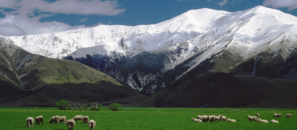 Hill view